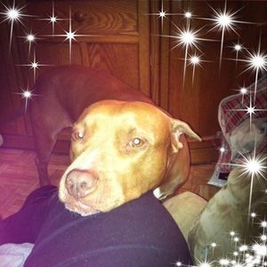 Meet your Posher, Mary